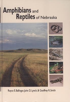 bokomslag Amphibians and Reptiles of Nebraska