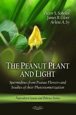 bokomslag Peanut Plant & Light