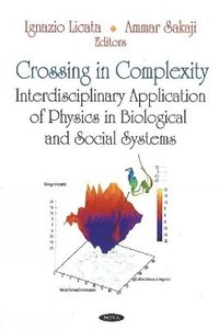 bokomslag Crossing in Complexity
