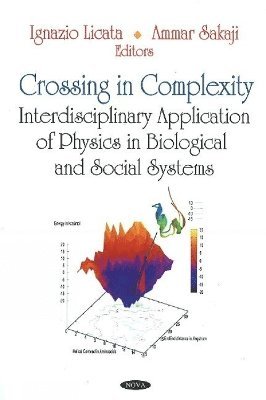 bokomslag Crossing in Complexity