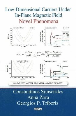 bokomslag Low-Dimensional Carriers Under In-Plane Magnetic Field