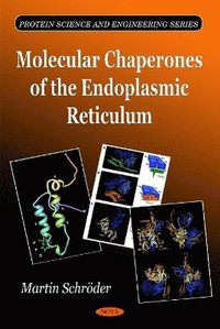 bokomslag Molecular Chaperones of the Endoplasmic Reticulum