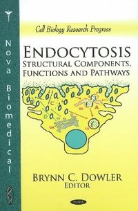 bokomslag Endocytosis