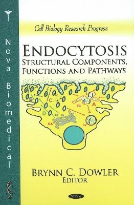 bokomslag Endocytosis