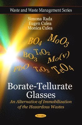 bokomslag Borate-Tellurate Glasses