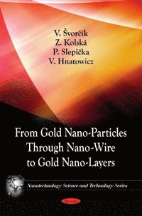 bokomslag From Gold Nano-Particles Through Nano-Wire to Gold Nano-Layers