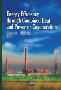 bokomslag Energy Efficiency Through Combined Heat & Power or Cogeneration