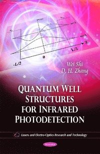 bokomslag Quantum Well Structures for Infrared Photodetection