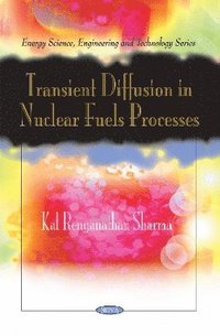 bokomslag Transient Diffusion in Nuclear Fuels Processes