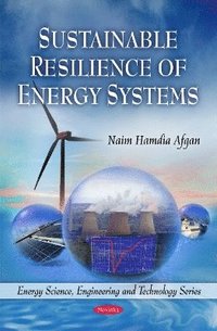 bokomslag Sustainable Resilience of Energy Systems