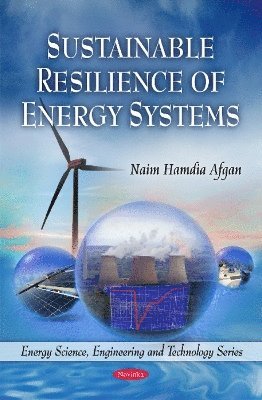 bokomslag Sustainable Resilience of Energy Systems