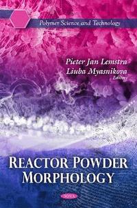 bokomslag Reactor Powder Morphology