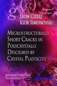 bokomslag Microstructurally Short Cracks in Polycrystals Described by Crystal Plasticity
