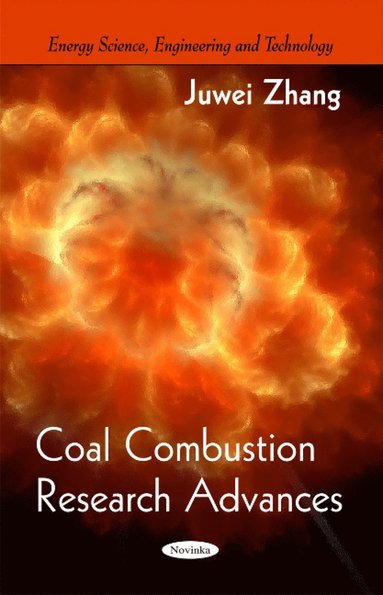 bokomslag Coal Combustion Research Advances