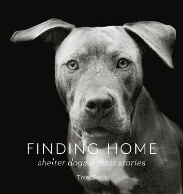 Finding Home 1