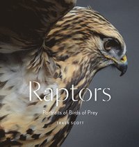 bokomslag Raptors