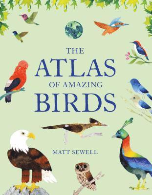 Atlas of Amazing Birds: (Fun, Colorful Watercolor Paintings of Birds from Around the World with Unusual Facts, Ages 5-10, Perfect Gift for You 1