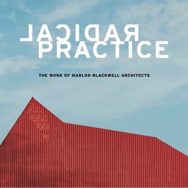 bokomslag Radical Practice
