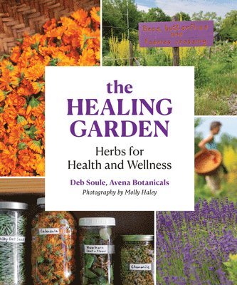 The Healing Garden 1