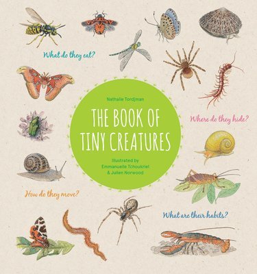 Nathalie Tordjman - Book of Tiny Creatures, Inbunden