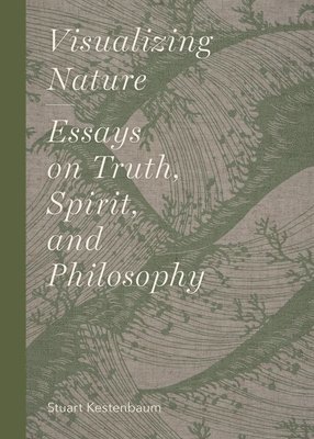 bokomslag Visualizing Nature: Essays on Truth, Spririt, and Philosophy