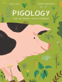 bokomslag Pigology