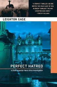 bokomslag Perfect Hatred