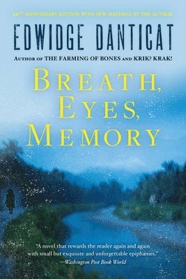 Breath, Eyes, Memory 1