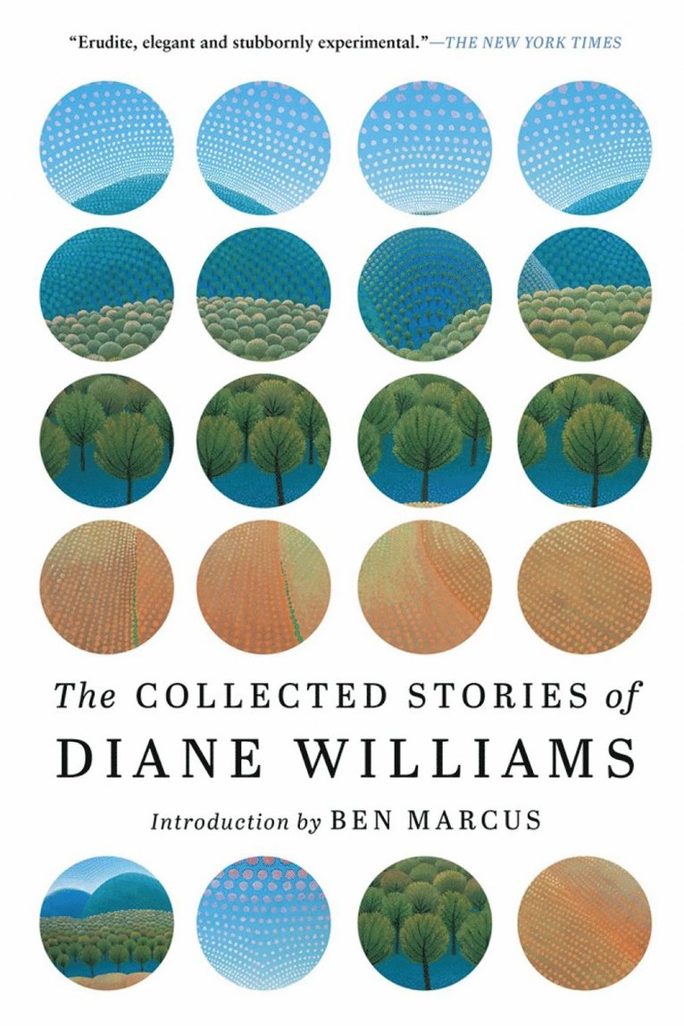 Diane Williams - Collected Stories of Diane Williams, Häftad