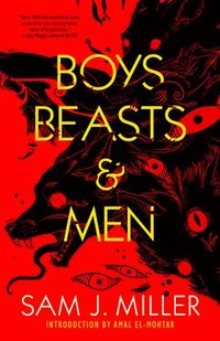bokomslag Boys, Beasts & Men