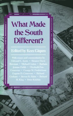 What Made the South Different? 1