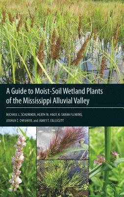 bokomslag A Guide to Moist-Soil Wetland Plants of the Mississippi Alluvial Valley