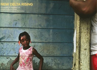bokomslag New Delta Rising
