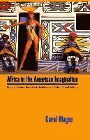 bokomslag Africa in the American Imagination