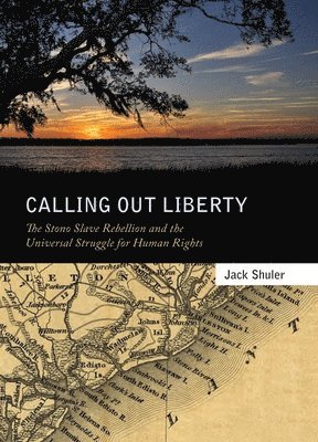 bokomslag Calling Out Liberty