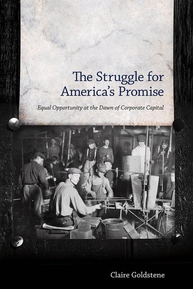 Claire Goldstene - Struggle for America's Promise, Inbunden