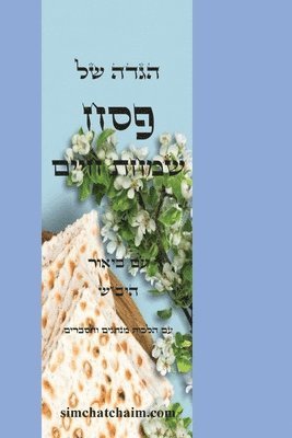 bokomslag &#1492;&#1490;&#1491;&#1492; &#1513;&#1500; &#1508;&#1505;&#1495; - &#1513;&#1502;&#1495;&#1514; &#1495;&#1497;&#1497;&#1501;