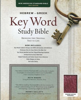 bokomslag The Hebrew-Greek Key Word Study Bible