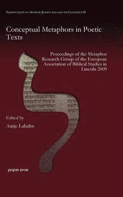 Susanne Gillmayr-Bucher, Antje Labahn - Conceptual Metaphors in Poetic Texts, Inbunden