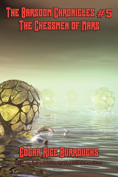 bokomslag Barsoom Chronicles #5 the Chessmen of Mars