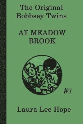 Bobbsey Twins at Meadow Brook
