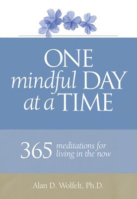 One Mindful Day at a Time