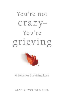 bokomslag You're Not Crazy-You're Grieving: