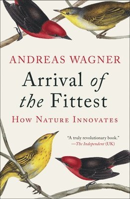bokomslag Arrival of the Fittest: How Nature Innovates