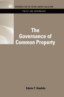 The Governance of Common Property Resources 1