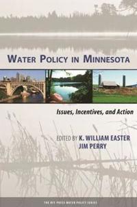 bokomslag Water Policy in Minnesota