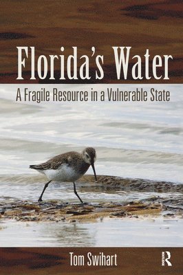 Florida's Water 1