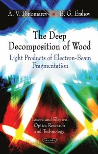 bokomslag Deep Decomposition of Wood