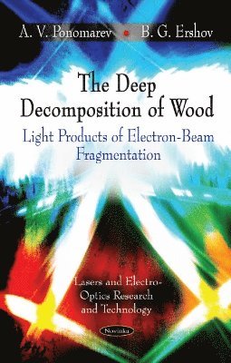 bokomslag Deep Decomposition of Wood