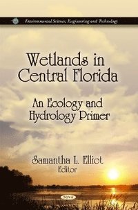 bokomslag Wetlands in Central Florida